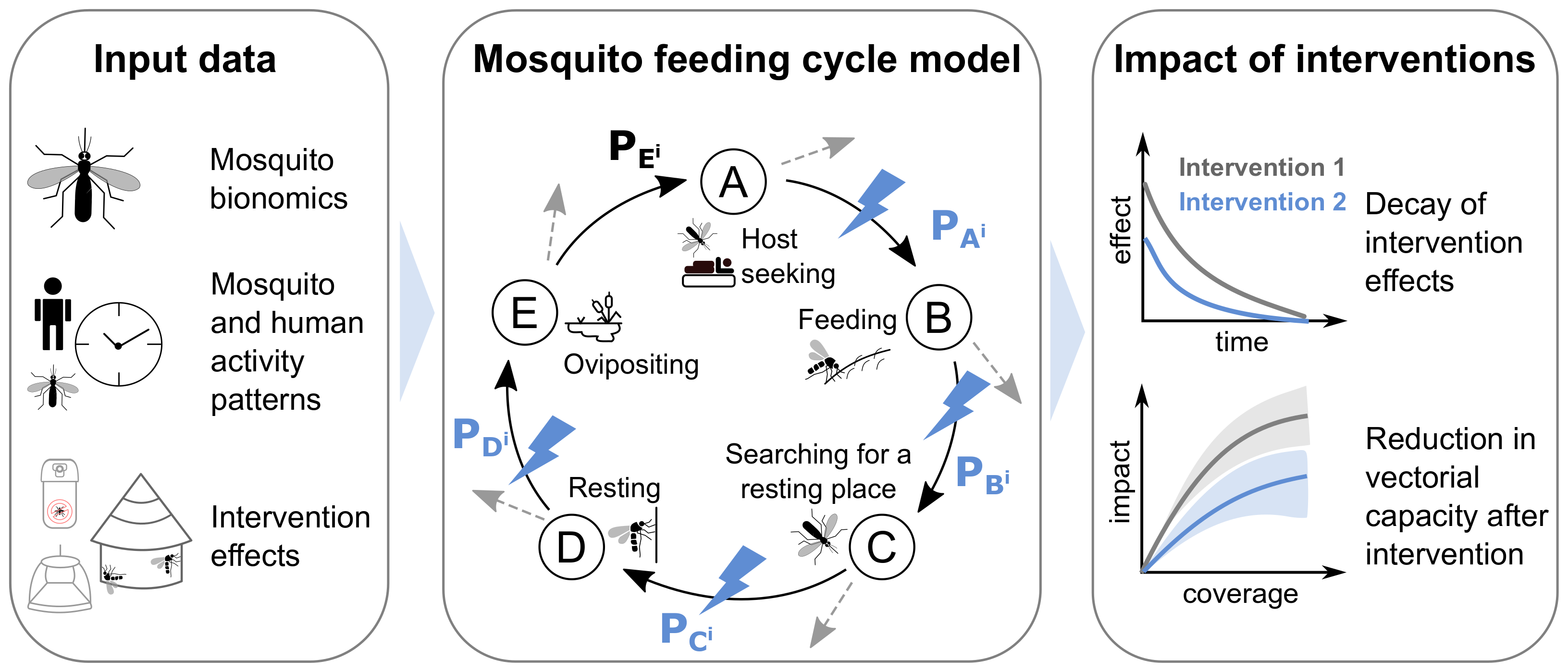 Figure 1: Overview of the AnophelesModel R package and its components. The package integrates various types of input data (first panel) to parameterize an existing model of the mosquito feeding cycle (middle panel, schematic adapted from (Chitnis, Smith, and Steketee 2008)). This model represents the feeding cycle states with letters A through E and transition probabilities P_{A^i} – P_{E^i} between consecutive states for a host of type i (human, animal hosts). The dotted grey arrows indicate that mosquitoes can die at each stage. Blue lightning symbols indicate the transition probabilities affected by the vector control interventions included in the package